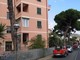 Rami pericolanti: intervento dei Vigili del fuoco a Pietra Ligure