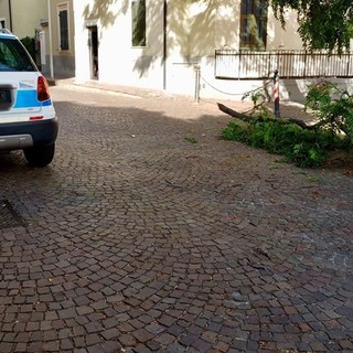 Celle, ramo cade in via Monte Tabor, immediato l'intervento dei vigili del fuoco e la polizia locale Celle, ramo cade in via Monte Tabor, immediato l'intervento dei vigili del fuoco e la polizia locale