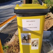 Un bidone giallo per aiutare i gatti abbandonati dell'oasi Felina "Andrea Delfino", scatta la solidarietà dei savonesi