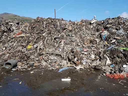 Inciviltà a Stella, rifiuti abbandonati a bordo strada Inciviltà a Stella, rifiuti abbandonati a bordo strada