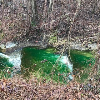 Cairo, il rio 'Ville' si colora di verde acceso (FOTO e VIDEO)