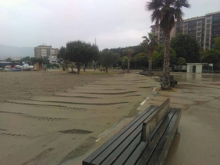 Savona, terminate le operazioni di pulizia e sistemazione delle spiagge, assessore Santi: "Particolare attenzione alla scaletto delle Fornaci" Savona, terminate le operazioni di pulizia e sistemazione delle spiagge, assessore Santi: "Particolare attenzione alla scaletto delle Fornaci"