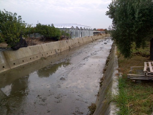 Pulizia al rio Antognano di Albenga Pulizia al rio Antognano di Albenga