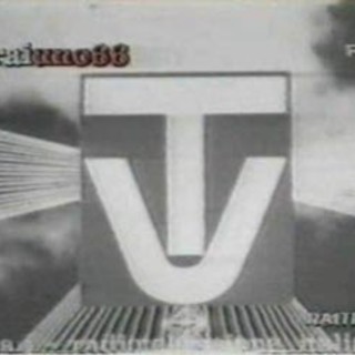 Una buona notizia: Squadra antimafia batte Miss Italia