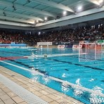 Piscina Zanelli, l'Amatori Savona sbotta: "La Zanelli non può essere il Bancomat di una società o il giocattolo di alcuni signori" Piscina Zanelli, l'Amatori Savona sbotta: "La Zanelli non può essere il Bancomat di una società o il giocattolo di alcuni signori"