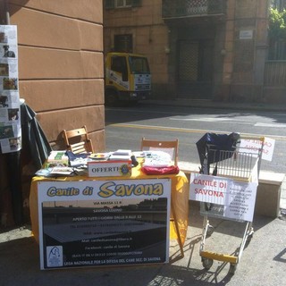 Savona: oggi raccolta di cibo ed offerte per i nostri amici a 4 zampe