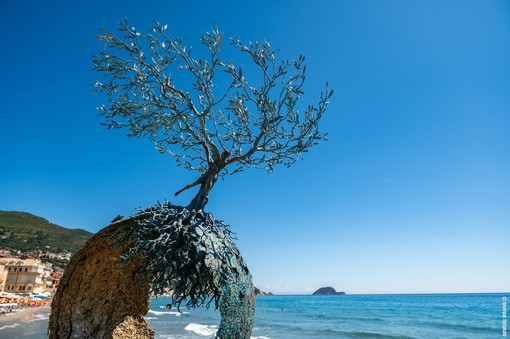Foto Emerson Fortunato