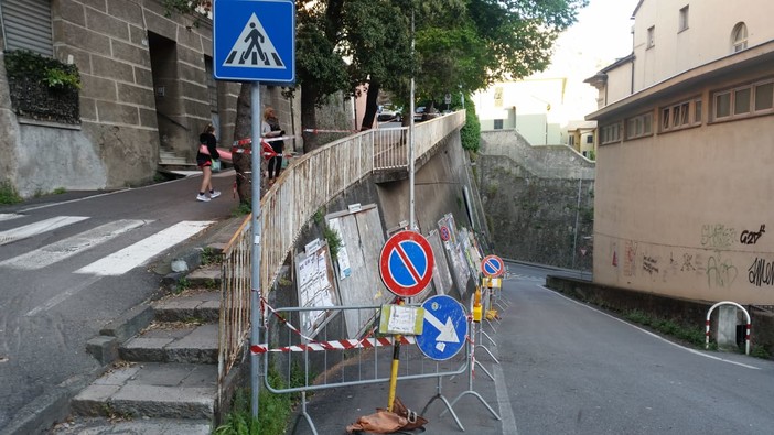 Savona, ramo cade su auto in via Montegrappa Savona, ramo cade su auto in via Montegrappa