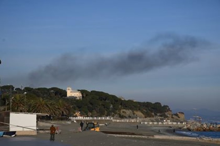 Foto realizzate e concesse da Davide Roncarolo