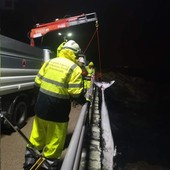 Varazze, rimossa la carcassa di una balenottera giovane trovata sotto Lungomare Europa Varazze, rimossa la carcassa di una balenottera giovane trovata sotto Lungomare Europa