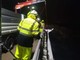 Varazze, rimossa la carcassa di una balenottera giovane trovata sotto Lungomare Europa