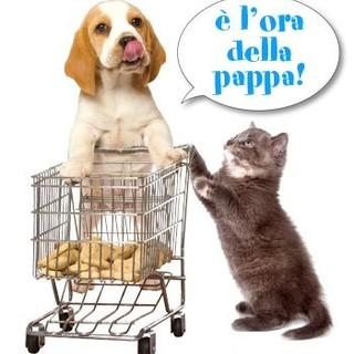 Immagine di repertorio