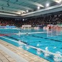 Piscina Zanelli, la Rari guarda oltre Savona: "Pronti al trasferimento a Luceto" Piscina Zanelli, la Rari guarda oltre Savona: "Pronti al trasferimento a Luceto"
