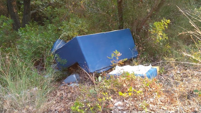 Foto tratte dalla Pagina Facebook: "Gazzetta di Cisano sul Neva"