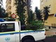 Andora si regala un bosco con l'iniziativa portata avanti dall'Accademia Kronos Andora si regala un bosco con l'iniziativa portata avanti dall'Accademia Kronos
