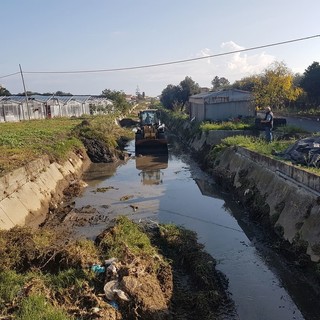 Rio Antognano, immagine di repertorio