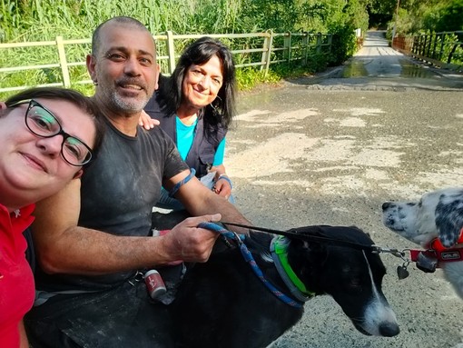 Fugge dopo un incidente ad Ellera, trovato il cane Piuma