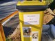 Un bidone giallo per aiutare i gatti abbandonati dell'oasi Felina "Andrea Delfino", scatta la solidarietà dei savonesi Un bidone giallo per aiutare i gatti abbandonati dell'oasi Felina "Andrea Delfino", scatta la solidarietà dei savonesi