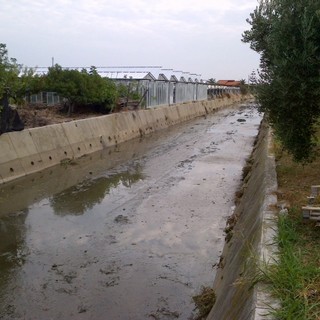 Pulizia al rio Antognano di Albenga