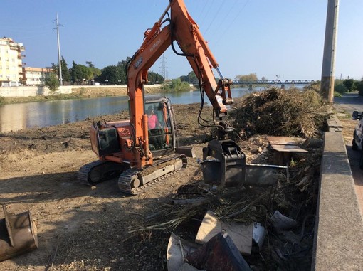Ad Albenga proseguono i lavori di pulizia del fiume Centa