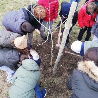 Festa dell'Albero a Spotorno: all’opera i "nativi ambientali" di tutte le scuole