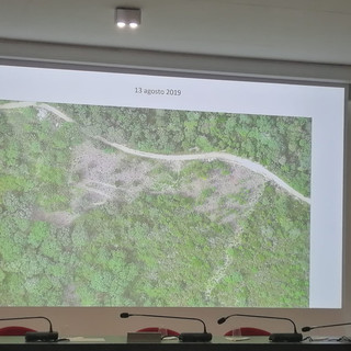 Foreste "resilienti" per contrastare gli incendi. A Spotorno il progetto pilota di Fondazione CIMA che fa scuola (FOTO e VIDEO) Foreste "resilienti" per contrastare gli incendi. A Spotorno il progetto pilota di Fondazione CIMA che fa scuola (FOTO e VIDEO)