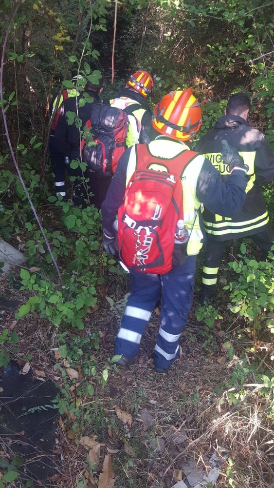 Vanno a vedere i fuochi artificiali, ma si perdono nei boschi, salvata coppia con bambino Vanno a vedere i fuochi artificiali, ma si perdono nei boschi, salvata coppia con bambino