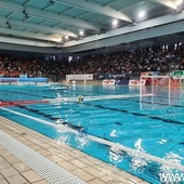Piscina Zanelli, la Rari guarda oltre Savona: "Pronti al trasferimento a Luceto" Piscina Zanelli, la Rari guarda oltre Savona: "Pronti al trasferimento a Luceto"
