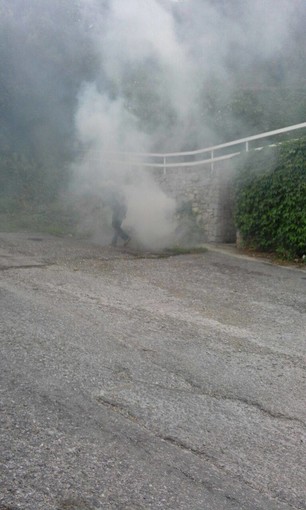 Brucia residui vegetali sulla strada, la denuncia di una lettrice: "Senso civico, questo sconosciuto"