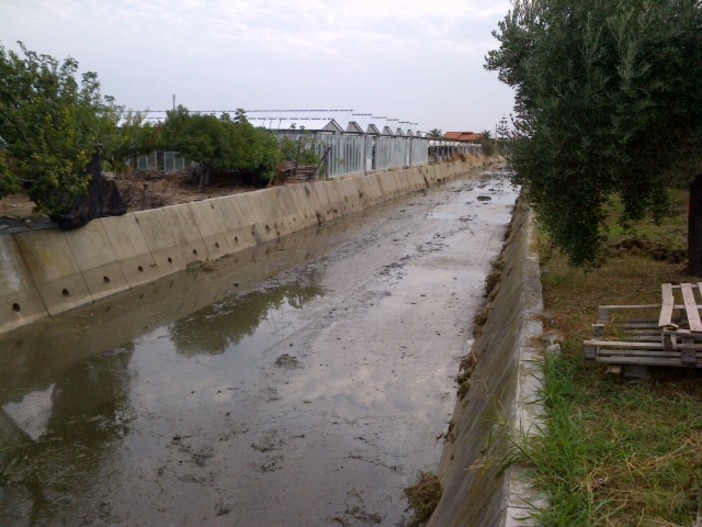 Pulizia al rio Antognano di Albenga Pulizia al rio Antognano di Albenga