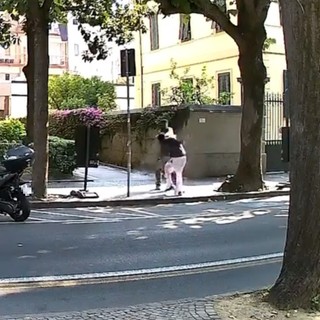 Colluttazione in pieno giorno ad Albenga: il video sui social riaccende l’allarme dei residenti
