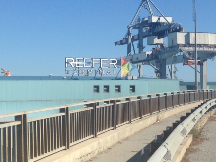 Autorità Portuale acquisisce le quote Orsero sul Vio, e i lavoratori Reefer?