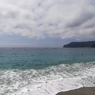 Raccolta della plastica in mare a Spotorno, in atto l'intervento della Capitaneria di Porto e della Polizia Marittima Raccolta della plastica in mare a Spotorno, in atto l'intervento della Capitaneria di Porto e della Polizia Marittima