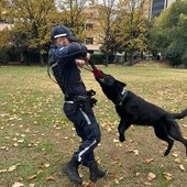 Savona, Rey e il fiuto che non sbaglia mai, per il cane poliziotto quattro giorni intensi di formazione