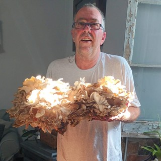 Il mitico "barbaxin" spunta anche nei boschi del savonese: raccolto ricco per un fungaiolo finalese (FOTO)
