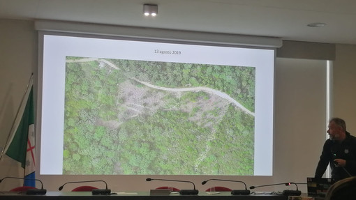 Foreste "resilienti" per contrastare gli incendi. A Spotorno il progetto pilota di Fondazione CIMA che fa scuola (FOTO e VIDEO)