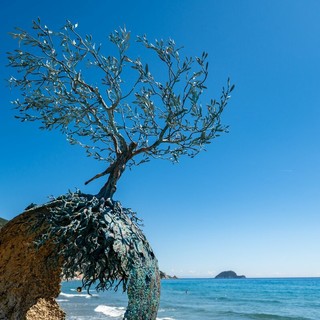 Foto Emerson Fortunato