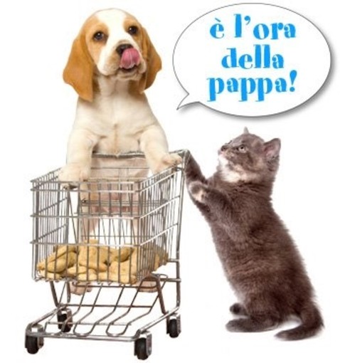 Immagine di repertorio