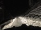 Neve in Val Bormida, notte tranquilla senza particolari disagi. Allerta meteo fino alle ore 13 di oggi (FOTO e VIDEO) Neve in Val Bormida, notte tranquilla senza particolari disagi. Allerta meteo fino alle ore 13 di oggi (FOTO e VIDEO)
