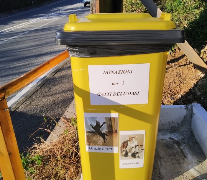 Un bidone giallo per aiutare i gatti abbandonati dell'oasi Felina "Andrea Delfino", scatta la solidarietà dei savonesi Un bidone giallo per aiutare i gatti abbandonati dell'oasi Felina "Andrea Delfino", scatta la solidarietà dei savonesi