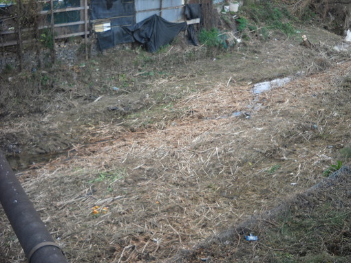 Albenga: proseguono i lavori sul Rio Carenda