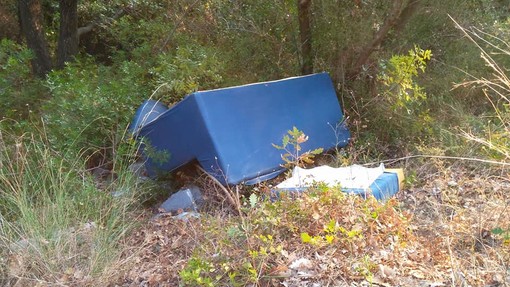 Foto tratte dalla Pagina Facebook: "Gazzetta di Cisano sul Neva"