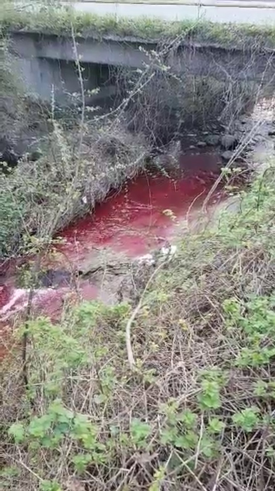 Cairo Montenotte, l'acqua del rio Ville si colora di rosso sangue: indagini Arpal per individuare i responsabili