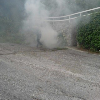 Brucia residui vegetali sulla strada, la denuncia di una lettrice: "Senso civico, questo sconosciuto"