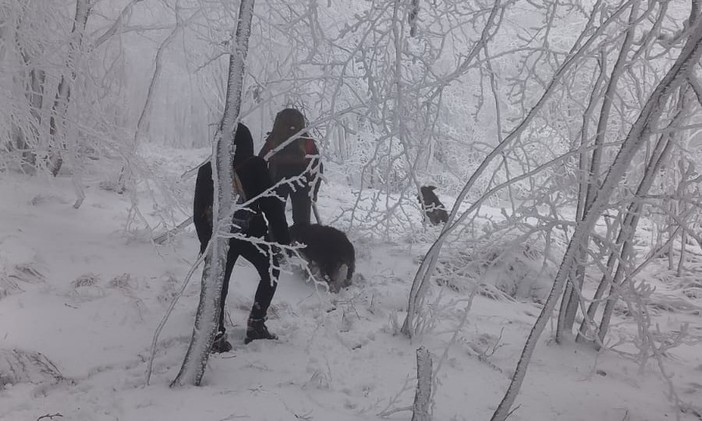 Perde l'orientamento durante un'escursione sul Beigua: donna ritrovata grazie al sistema Locator Perde l'orientamento durante un'escursione sul Beigua: donna ritrovata grazie al sistema Locator