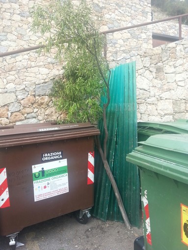Finale Ligure, gesto di inciviltà: ennesimo abbandono di rifiuti via Caviglia: