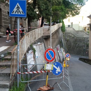Savona, ramo cade su auto in via Montegrappa