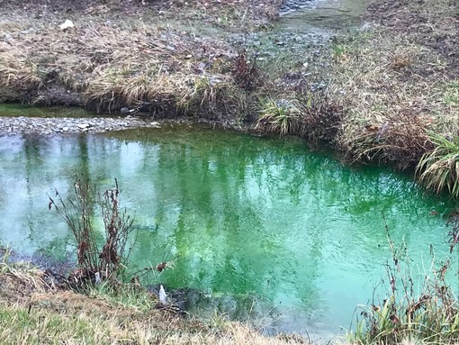 Cairo, l'acqua del rio 'Ville" diventa verde: la colpa è di un tracciante (FOTO e VIDEO)