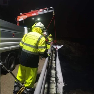 Varazze, rimossa la carcassa di una balenottera giovane trovata sotto Lungomare Europa