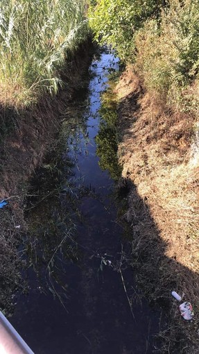 Campochiesa d'Albenga: quale situazione per i corsi d'acqua in caso di forti piogge? Campochiesa d'Albenga: quale situazione per i corsi d'acqua in caso di forti piogge?